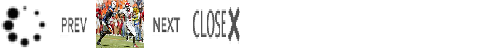 NotesForGallery: ASP.NET AJAX Photo Gallery Control
